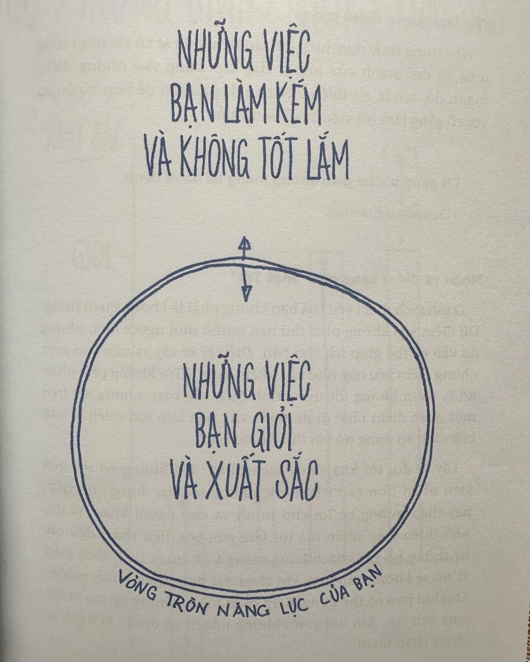 Khám Phá Điểm Mạnh Và Điểm Yếu: Vòng Tròn Năng Lực Của Bạn